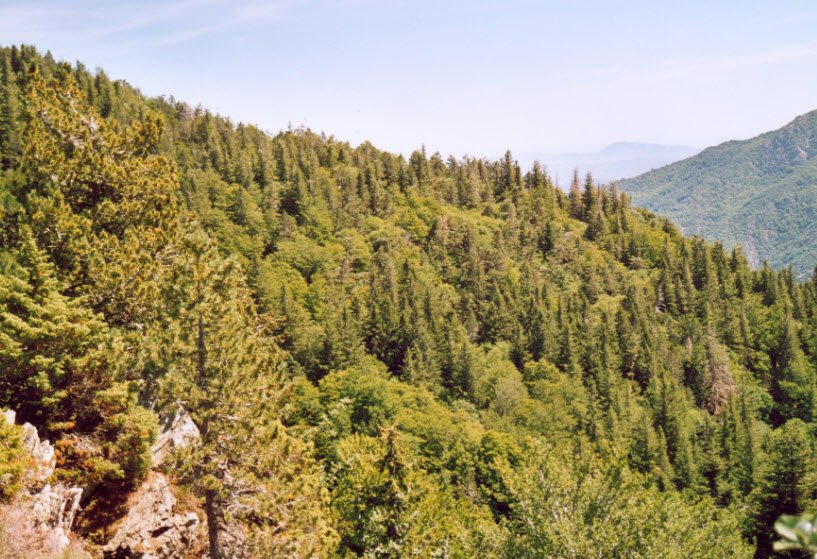 Arborétum de l'Hort de Dieu, , France